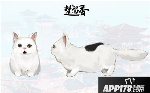 楚留香宠物系统首度曝光