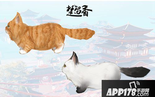 楚留香手游宠物系统爆料