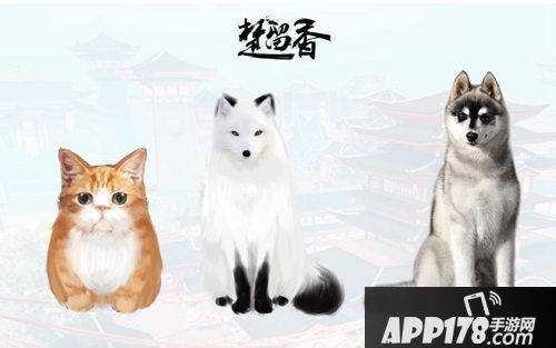 楚留香手游宠物系统爆料