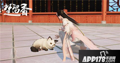 楚留香宠物系统上线