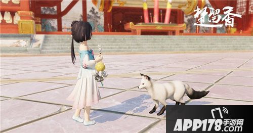 楚留香宠物系统激萌上线