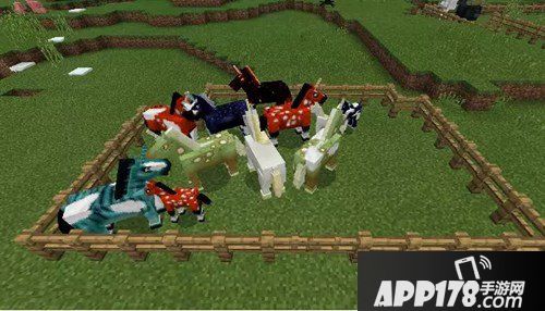 我的世界神奇动物组件一览