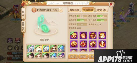 梦幻西游手游2019全民pk争霸赛总冠军装备宠物分享