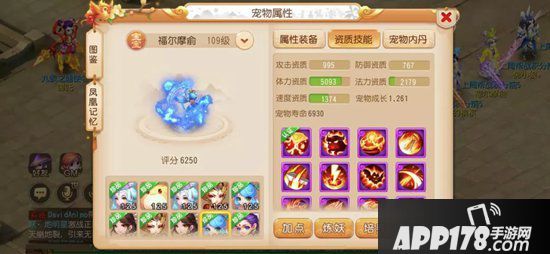 梦幻西游手游2019全民pk争霸赛总冠军装备宠物分享