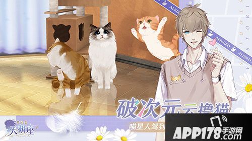 梦间集天鹅座删档计费测试开启