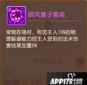 梦幻西游手游精锐勇武组宠物套装展示与分析