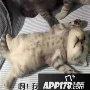 奇葩战斗家新版本足球主题皮肤曝光