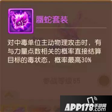 梦幻西游手游精锐勇武组宠物套装展示与分析