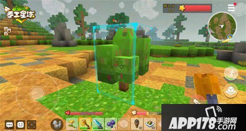 手工星球奇异植物细数