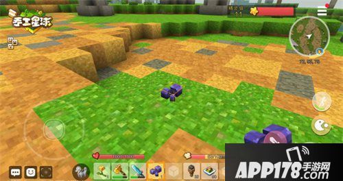 手工星球奇异植物细数