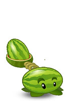植物大战僵尸全明星四叶草和西瓜对比<a href=http://www.app178.com/gonglue/ target=_blank class=infotextkey>攻略</a>