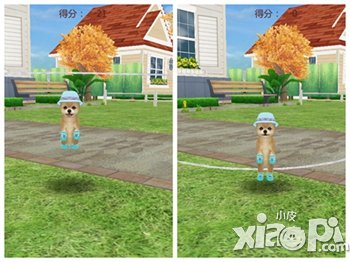 我的世界只有你 《心动小狗》的内心独白