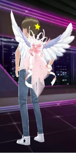 全民偶像飘逸星羽