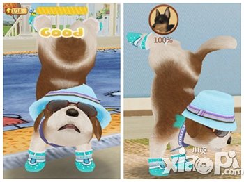 我的世界只有你 《心动小狗》的内心独白