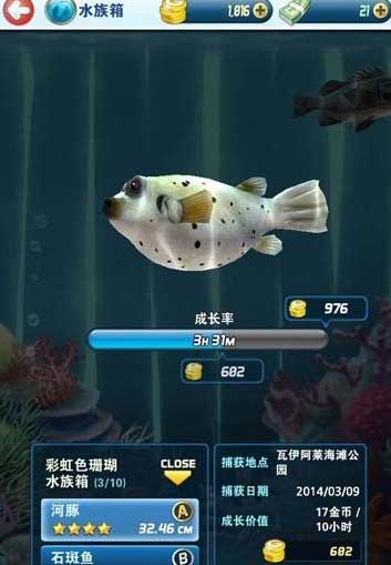 钓鱼发烧友破解版