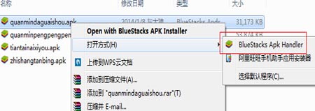 主公别打脸电脑版下载