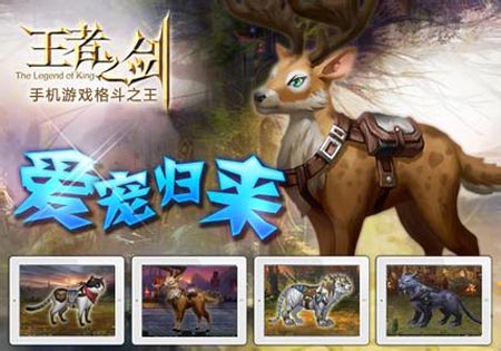 王者之剑宠物系统