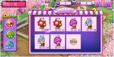 天天炫舞岛主花园