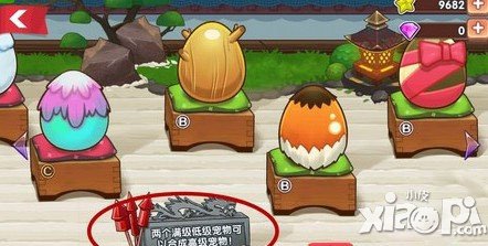 全民切水果S级宠物怎么得 S级宠物获得方法