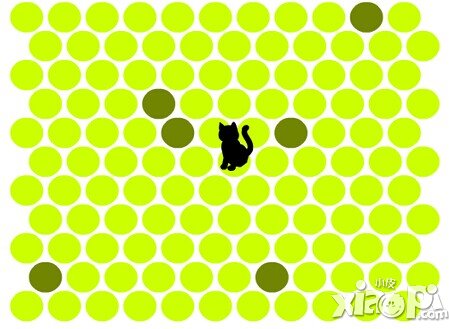 围住神经猫技巧