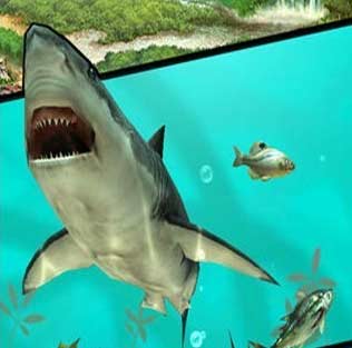 钓鱼发烧友大招