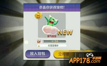 天天风之旅受气豆豆