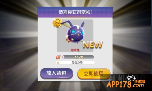 天天风之旅黑铁兔