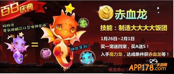 天天风之旅魔力龙任务
