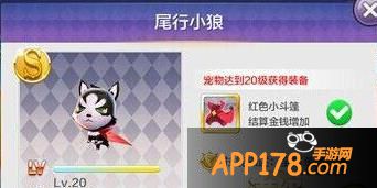 天天风之旅尾行小狼