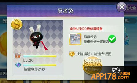 天天风之旅忍者兔