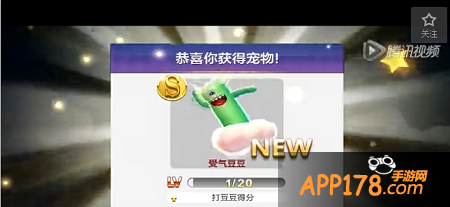 天天风之旅受气豆豆怎么样