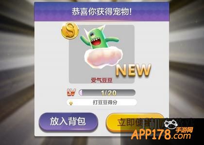 天天风之旅受气豆豆