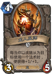 炉石传说龙人巫师