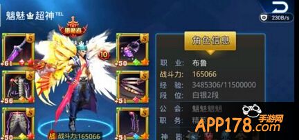 玄冰圣光翼