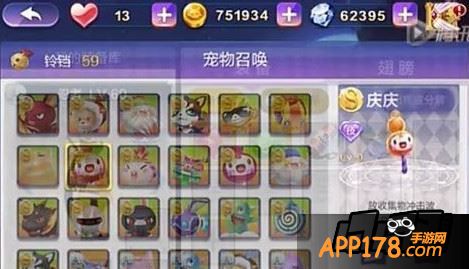 天天风之旅宠物定向召