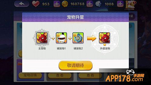 天天风之旅宠物升星