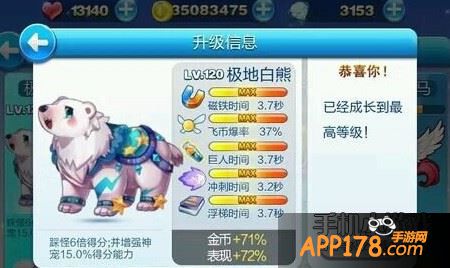 极地白熊