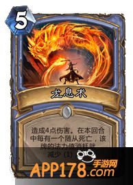 炉石传说龙息术