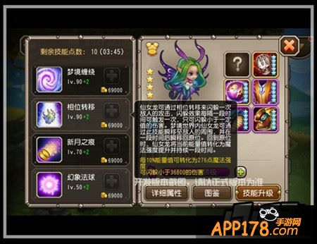 仙女龙