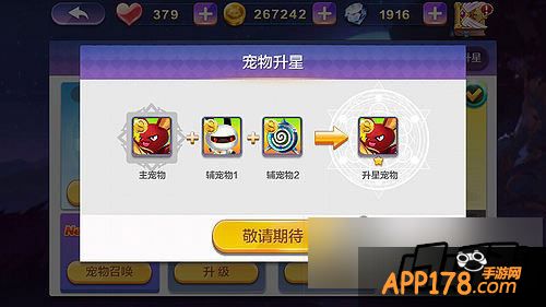 天天风之旅宠物升星