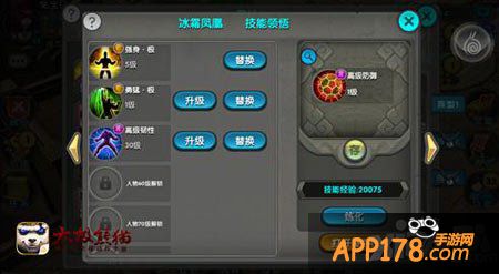 太极熊猫武神