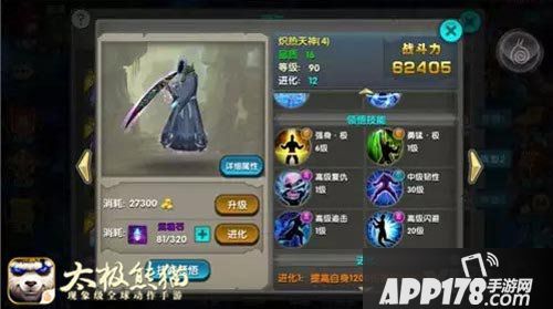 太极熊猫分赛区冠军