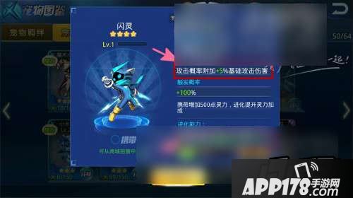 下面已一级闪灵为例，介绍其属性