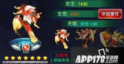 去吧皮卡丘火焰鸡装备