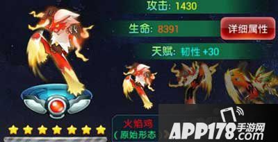 去吧皮卡丘火焰鸡阵容