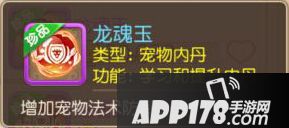 梦幻西游手游龙魂玉
