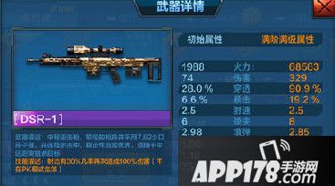 DSR-1