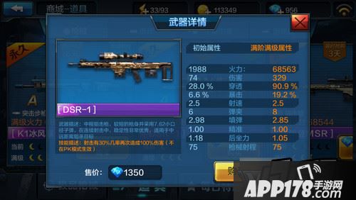 全民突击DSR-1