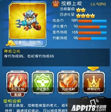 浣熊上校
