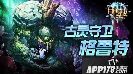 格鲁特